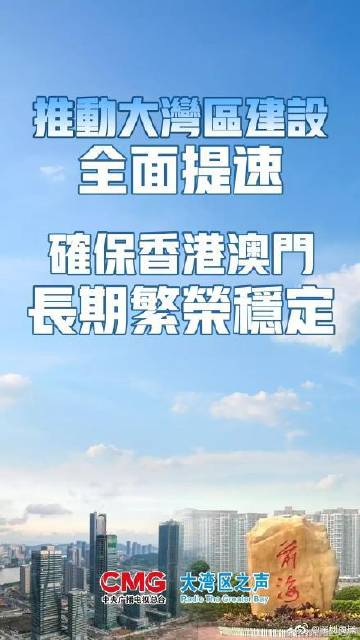 澳门最准一肖一码一特，构建解答解释落实的策略与方法