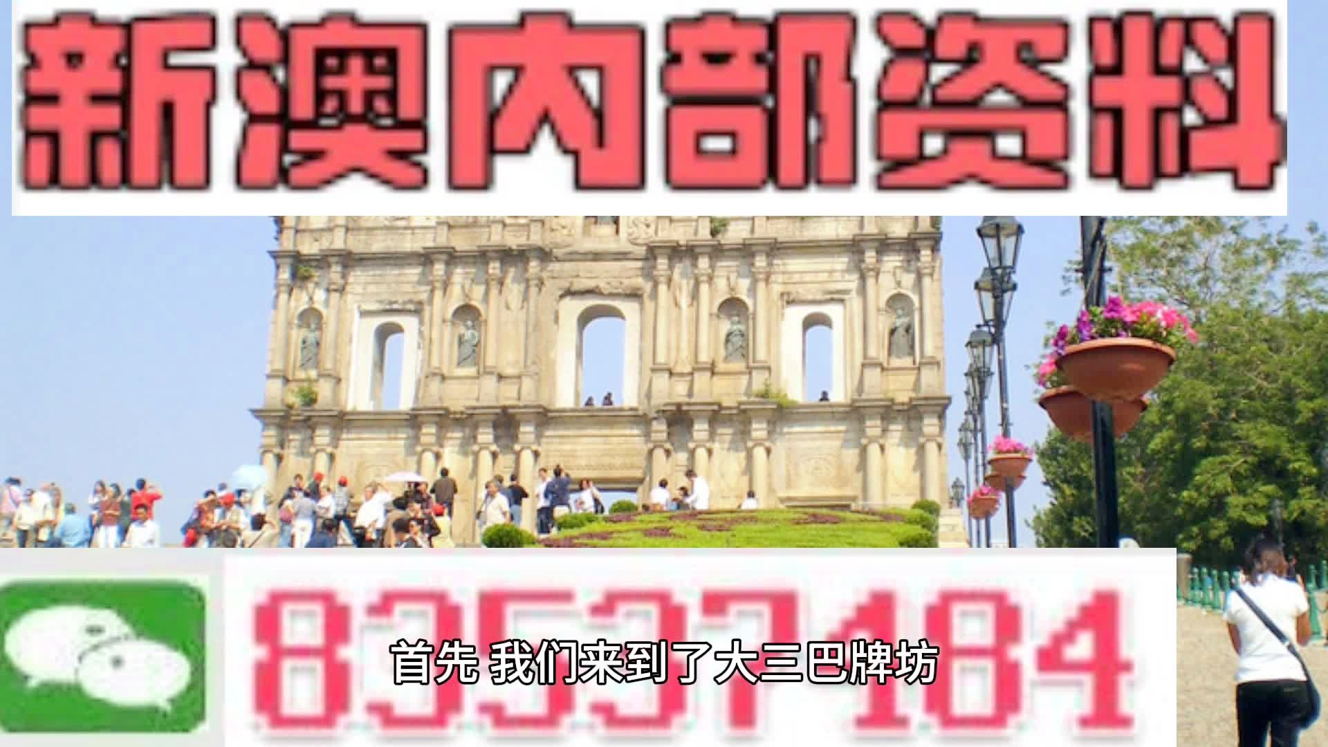 新澳门2024-2025年正版免费公开——电信讲解解释释义