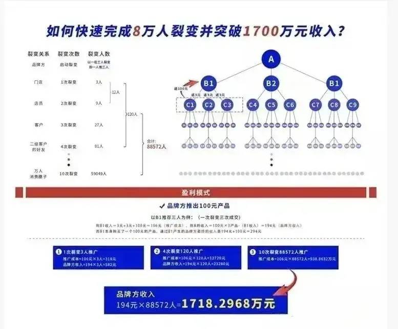 最准一肖一码一孑一特一中，构建解答解释落实的策略与方法