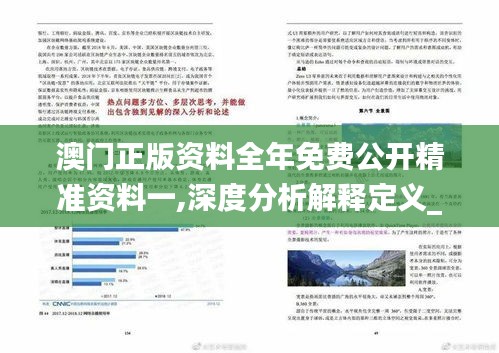 探索澳门正版资本车资料——词语作答解释与实施的深度解读（2024-2025）