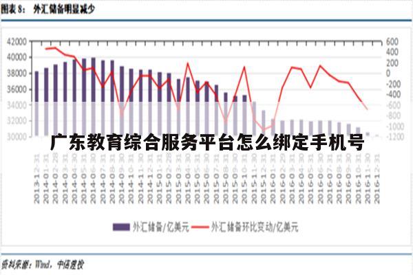 广东省教育服务平台手机应用的发展与影响