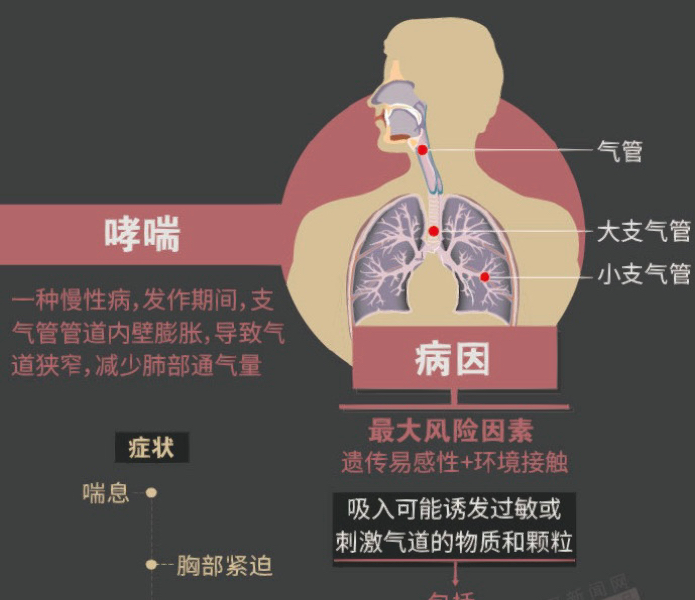 咳嗽一个月有痰，原因、风险与应对措施