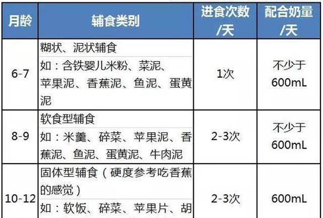 十一个月宝宝辅食量的科学安排与营养保障