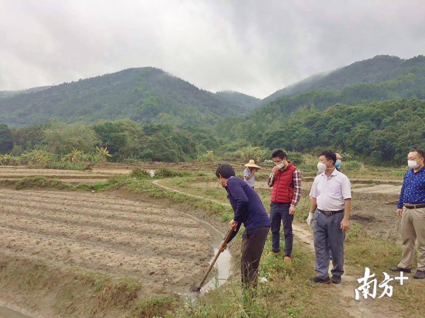 广东省茂名市防疫工作的实践与探索