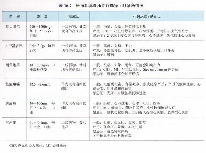 孕10周，怀孕初期的关键阶段与月份换算解读